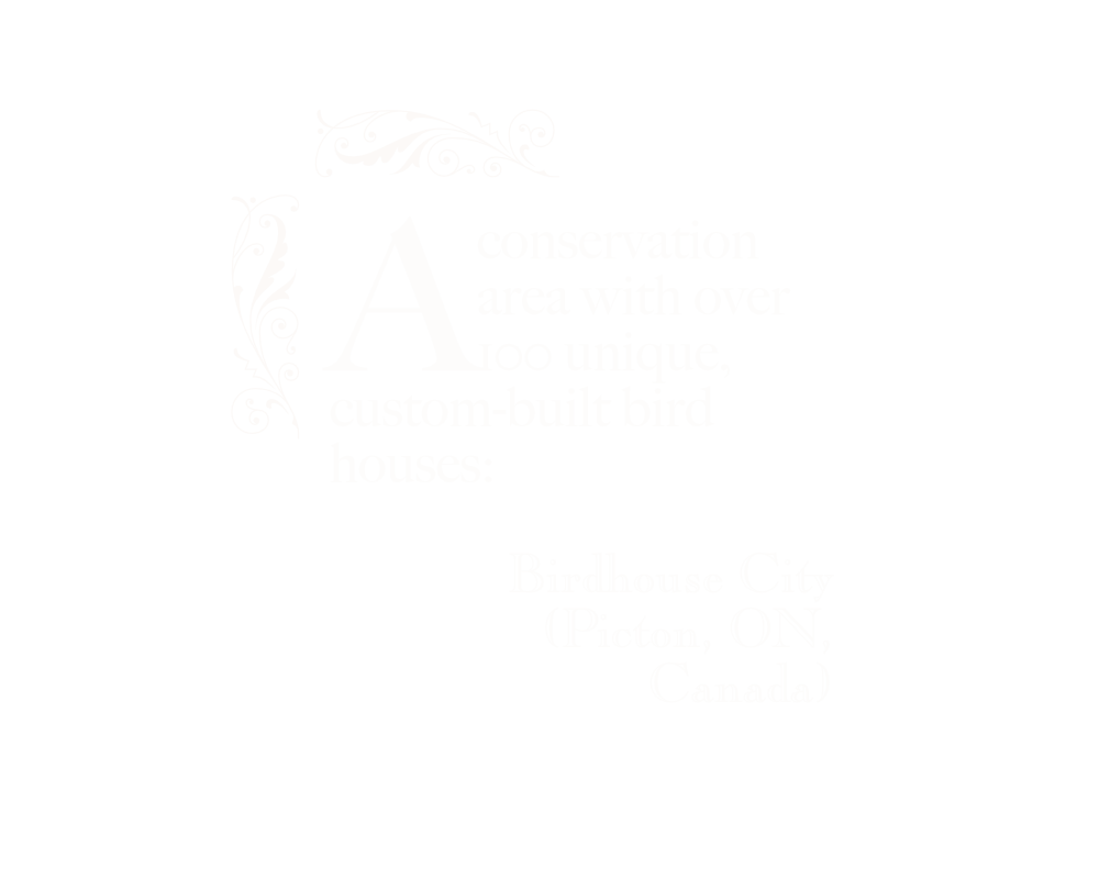 A conservation area with over 100 unique, custom-built bird houses: Birdhouse City (Picton, ON, Canada).